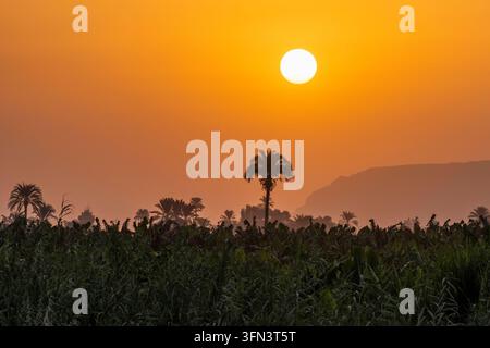 Coucher de soleil sur les rives du Nil au sud de Nag Hammadi en Égypte. *** Coucher de soleil sur les rives du Nil au sud de Nag Hammadi en Égypte Banque D'Images