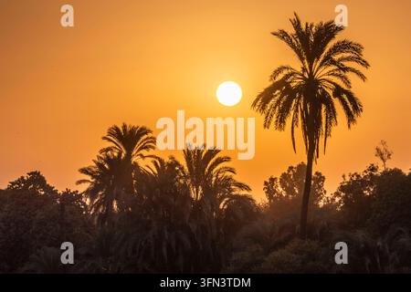 Coucher de soleil sur les rives du Nil au sud de Nag Hammadi en Égypte. *** Coucher de soleil sur les rives du Nil au sud de Nag Hammadi en Égypte Banque D'Images