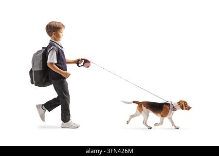 Écolier promenant son chien beagle en laisse isolé sur fond blanc Banque D'Images