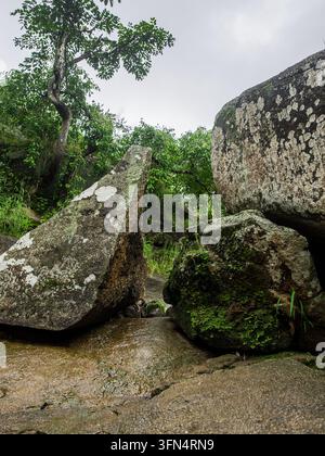 Vue de gros blocs de granit recouverts de mousse et d'une végétation luxuriante dans un paysage rocheux à Jos, Plateau, Nigeria. Banque D'Images