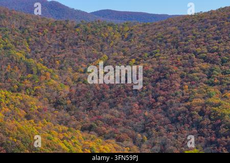Un patchwork de feuillage automnal rouge, orange, doré et vert recouvre les pentes boisées de la vallée de Bull Creek, vu depuis le point de vue de Bull Creek Valley sur le Blue Ridge Parkway près d'Asheville, Caroline du Nord, États-Unis. Banque D'Images