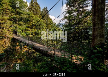 Un pont suspendu avec passerelle en bois et rampes en métal traverse un ravin boisé à Malesco. Structure ancrée à des piliers en béton, entourée de de Banque D'Images