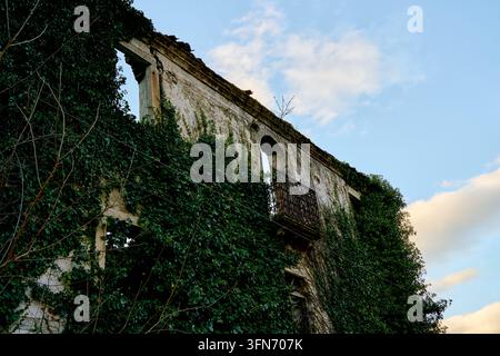 Photographie à faible angle d'un bâtiment abandonné contre un ciel bleu nuageux montrant une façade couverte de lierre et des détails de balcon Banque D'Images