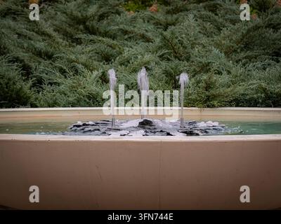 Jets d'eau jaillissant dans un bassin de fontaine en pierre entouré d'un feuillage persistant dense dans un jardin de parc paisible Banque D'Images