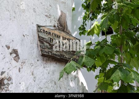 Platanus acerifolia Banque D'Images