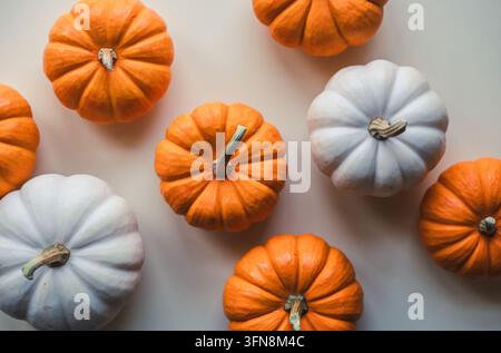 Vue aérienne de petits citrouilles orange et blanches Banque D'Images