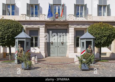 Des gardes en uniforme de cérémonie se tiennent à l'entrée du palais Sandor, la résidence présidentielle officielle du quartier du château de Buda à Budapest, en Hongrie. Banque D'Images