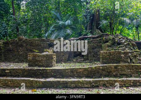 Ruines mayas du Groupe des Chauves-souris dans la forêt tropicale, Palenque, Chiapas, Mexique. Banque D'Images