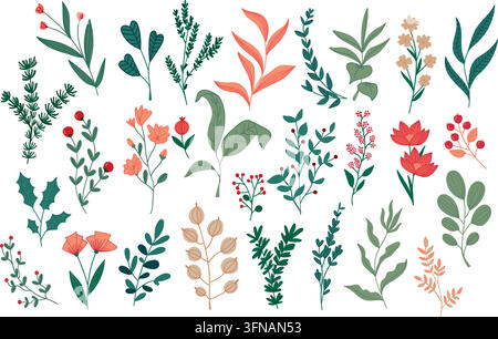 Grande collection d'éléments floraux et botaniques vectoriels dessinés à la main, comprenant des feuilles, des fleurs, des branches, des baies et des herbes dans un style plat Illustration de Vecteur
