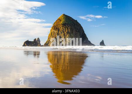 Une vue rapprochée spectaculaire et détaillée de la colossale cheminée marine de Haystack Rock, mettant en valeur sa surface accidentée et son habitat marin, comme vu depuis le Banque D'Images