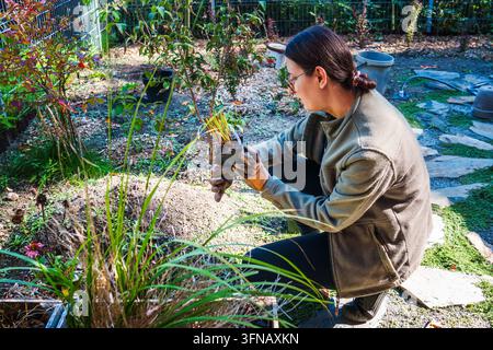 Femme accroupie dans le jardin tenant une petite plante en pot et des gants de jardinage. Une jardinière avec des lunettes et une veste en polaire examine soigneusement un jeune semis Banque D'Images