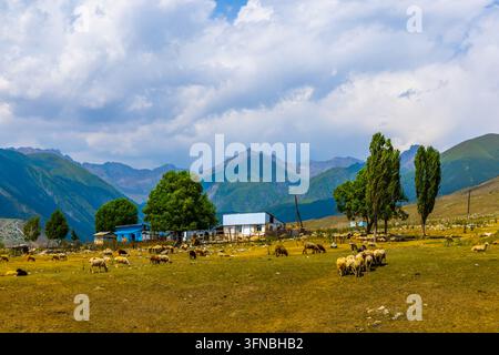 Un troupeau de moutons broute sur un champ sec et herbeux avec des montagnes en couches à l'arrière-plan sous un ciel partiellement nuageux. Plusieurs bâtiments agricoles et dispersés Banque D'Images
