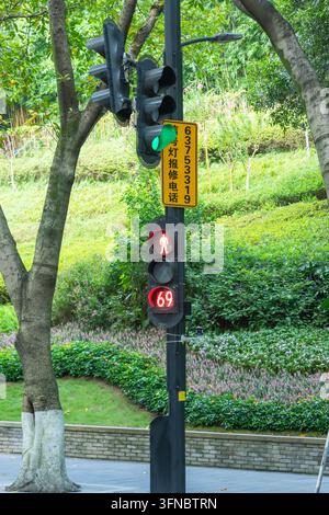 Feu de circulation affichant un signal vert et un signal piéton montrant rouge avec un compte à rebours Banque D'Images