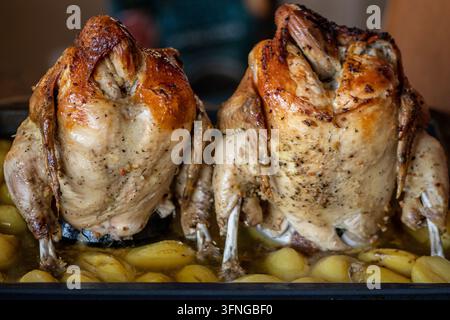 Poulets en boîte de bière après avoir été grillés verticalement dans un plateau accompagnés de petites pommes de terre, tandis qu’une personne découpe l’un des oiseaux avec un couteau Banque D'Images