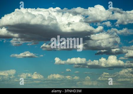Ciel bleu éclatant rempli de nuages cumulus épars et duveteux de tailles variées, avec des sommets blancs brillants illuminés par le soleil et des dessous doux ombragés gris. Banque D'Images