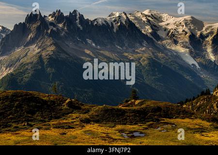 Vue dramatique du massif des Aiguilles Rouges dans les Alpes françaises, où des pics enneigés déchiquetés s'élèvent au-dessus d'une forêt ombragée et d'une prairie alpine brillante Banque D'Images