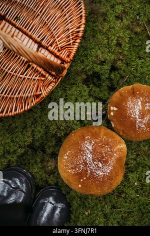 Vue aérienne de champignons sauvages fraîchement cueillis reposant sur de la mousse verte luxuriante à côté d'un panier tressé et de bottes noires lors d'une aventure de cueillette en forêt. Banque D'Images