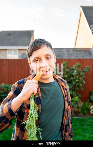 Un adolescent souriant mord une carotte biologique fraîchement récoltée tout en se tenant dans un jardin arrière, tenant des légumes à feuilles et profitant d'une saine production maison Banque D'Images