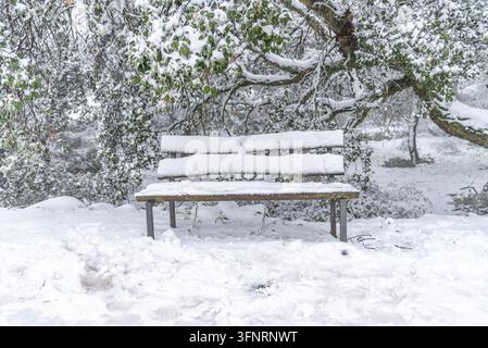 Un banc de parc en bois vide et couvert de neige se trouve sous un grand chêne toujours vert chargé de neige dans un paysage hivernal paisible et serein. Banque D'Images