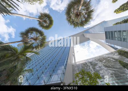 Vue en contre-plongée des tours de l'hôtel Marina Bay Sands et du SkyPark encadrées par des palmiers tropicaux à Singapour Banque D'Images