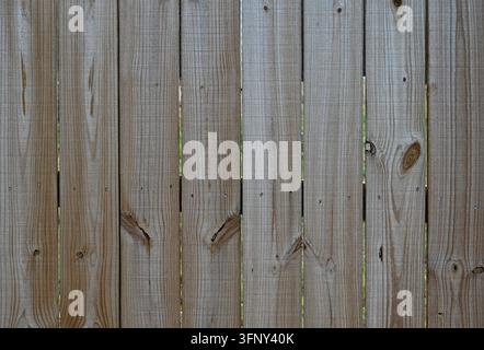 Clôture d'intimité en bois naturel patiné avec des planches verticales irrégulières, une veinure de bois prononcée, des nœuds, des écarts entre les planches et des dépôts minéraux blancs Banque D'Images