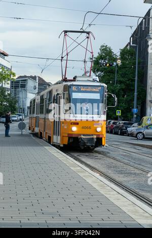 Hongrie, Budapest 2021 05 30 : Tramway jaune arrivant à une station de rue urbaine avec des passagers qui attendent, lumière du jour, perspective verticale Banque D'Images