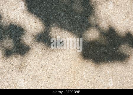 Revêtement d'asphalte rugueux recouvert d'agrégat texturé et d'ombres d'arbres irrégulières sous un soleil éclatant en extérieur, formant une surface naturelle grise et beige Banque D'Images