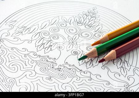 Crayons de couleur vifs posés sur une page de mandala vierge et complexe, composition créative pour le coloriage, le dessin, l'art, la relaxation, la pleine conscience Banque D'Images