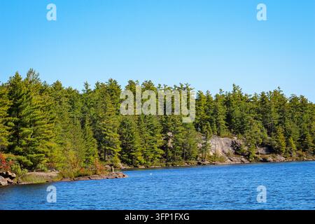 Un lac bleu rencontre une rive rocheuse à feuillage persistant sous un ciel bleu clair. Banque D'Images