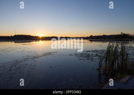 Une scène sereine capture une mouette volant gracieusement au-dessus d'un lac calme pendant le coucher du soleil dans la campagne de Durham, Ontario. L'eau tranquille reflète les teintes chaudes Banque D'Images