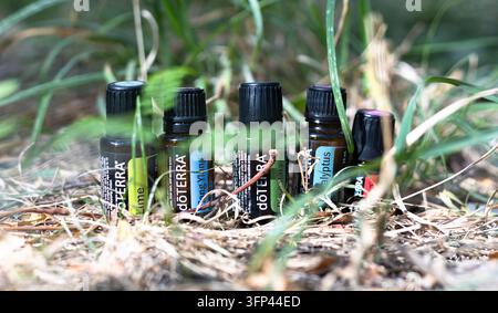 BICHKEK, KYRGYZSTAN, 30 SEPTEMBRE 2026. Bouteilles d'huiles essentielles doTERRA debout dans l'herbe verte en plein air Banque D'Images