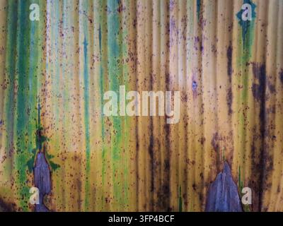 Texture de surface d'une feuille de bananier usée avec des lignes verticales naturelles, des couleurs vert jaunâtre et des taches brunes en gros plan sous la lumière du jour Banque D'Images