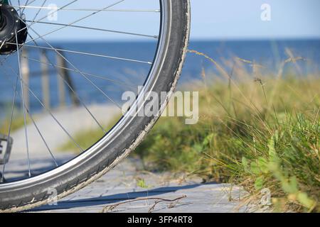 Un gros plan d'une roue de vélo avec du sable sur le pneu, garée sur une promenade en bois à côté de l'herbe des dunes, capturant une ambiance estivale détendue au bord de la mer et la côte en plein air Banque D'Images
