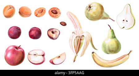Ensemble de fruits en aquarelle. Illustrations détaillées pour les restaurants, les blogs alimentaires, les marques de produits alimentaires, les fermes, les épiceries, les étals de produits frais, les bars à jus, les enfants m Banque D'Images