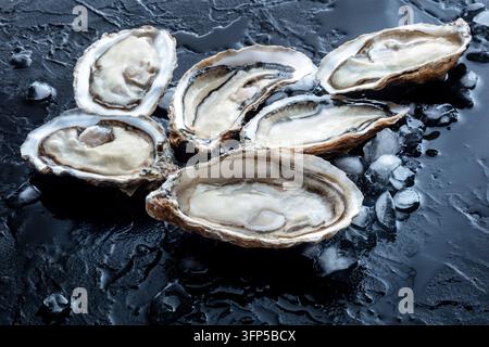 Huîtres crues fraîches sur glace, sur fond de pierre noire, une délicatesse de fruits de mer, de la nourriture gastronomique Banque D'Images