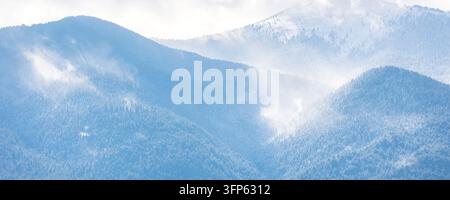 Chaîne de montagnes enneigée avec des pentes boisées dans une atmosphère hivernale sale Banque D'Images