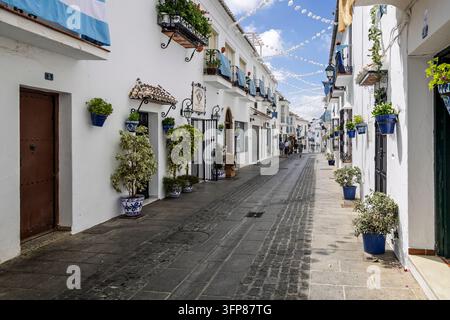 Ruelle étroite aux murs blancs charmante, pleine de plantes en pot et de fleurs à Mijas Pueblo, Andalousie, Espagne, le 10 septembre 2026 Banque D'Images