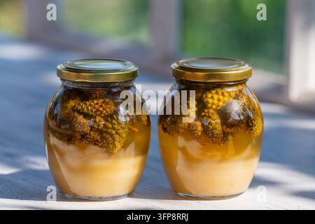 Deux pots en verre de miel frais avec des cônes de pin sur une table en bois, gros plan Banque D'Images