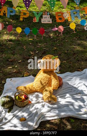 Ours en peluche assis sur une couverture blanche sous une bannière "Joyeux anniversaire" dans le parc. Des citrouilles et un petit panier ajoutent du charme automnal à cette mignonne célébration en plein air Banque D'Images