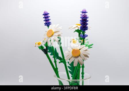 Collection Lego Botanicals bouquet artificiel de fleurs sauvages avec marguerites et lavande dans un vase en verre sur fond blanc Banque D'Images