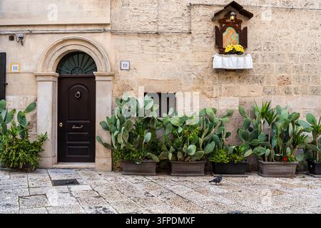 Vue pittoresque de la vieille ville de Bari avec des cactus figuiers de Barbarie en pot et un petit sanctuaire catholique sur la Piazza dell'Odegitria, Bari Vecchia, Pouilles, Italie Banque D'Images