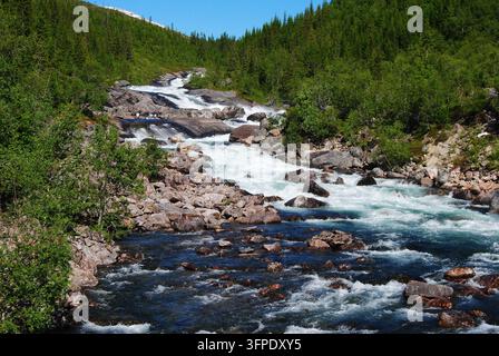 Rivière de montagne sauvage dévalant à travers la forêt le long de la route Kystriksveien 17, Norvège Banque D'Images