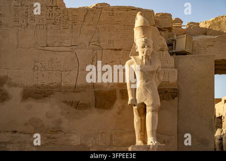 Statue du pharaon au temple de Karnak à Karnak, près de Louxor, Égypte, Afrique Banque D'Images