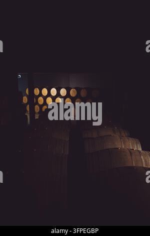 Barils de vin traditionnels en chêne vieillissant dans une cave sombre à Valenca do Douro, Portugal. Banque D'Images