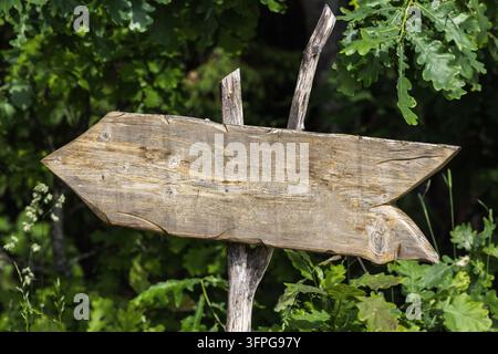 Un panneau en bois rustique en forme de flèche sur un poteau simple pointe vers la gauche, entouré d'un feuillage sauvage, évoquant la direction, l'aventure et le charme de la campagne Banque D'Images