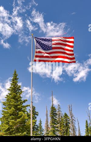 Drapeau national des États-Unis d'Amérique, également connu sous le nom de Stars and Stripes Banque D'Images