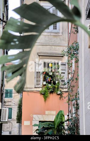 Fenêtre décorée avec des fleurs et une toupie dans une ruelle de la vieille ville de Split Banque D'Images