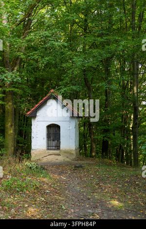 Petite chapelle blanche au toit rouge entourée d'arbres verts sur un chemin de terre Banque D'Images