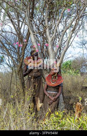 Deux femmes de la tribu Pokot portant des colliers de perles et des bandeaux de plumes se souriant l'une l'autre à côté d'un arbre aux fleurs de rose du désert, Narok, Chepilat, Kenya Banque D'Images