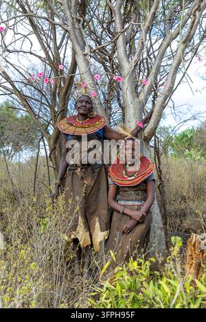 Deux femmes de la tribu Pokot portant des colliers de perles et des bandeaux de plumes, debout et assises à côté d'un arbre avec des fleurs de rose du désert roses, Narok, Chepilat, Kenya Banque D'Images